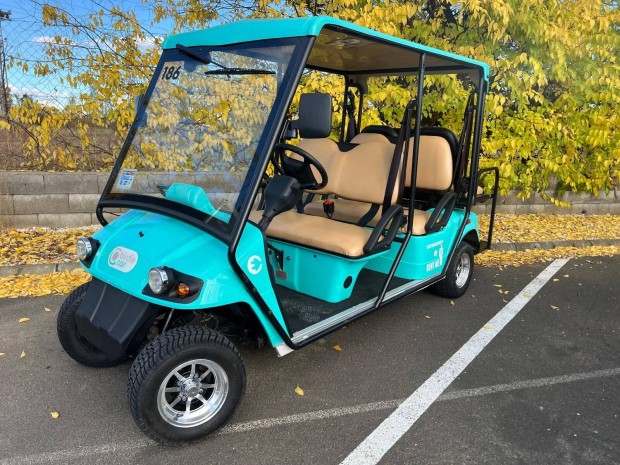 Birdie 2018 (Eagle) 6 Szemlyes Elektromos Golfkocsi Lifepo4 akkuval