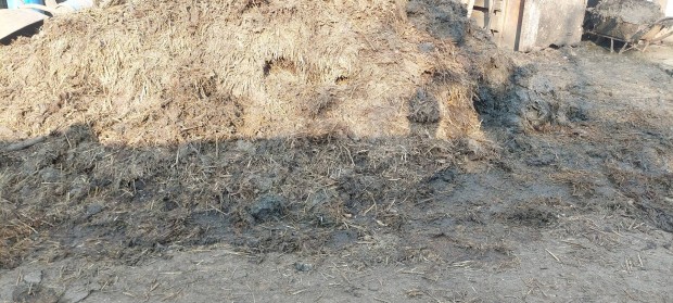 Birkatr�gya elvihet� 