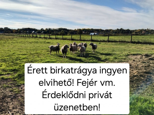 Birkatrgya ingyen elvihet!