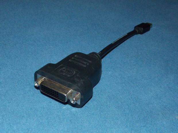 Bizlink DVI - mini Displayport (mDP) talakt, adapter, kbel