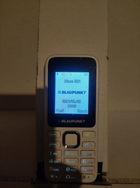 Blaupunkt FS 03