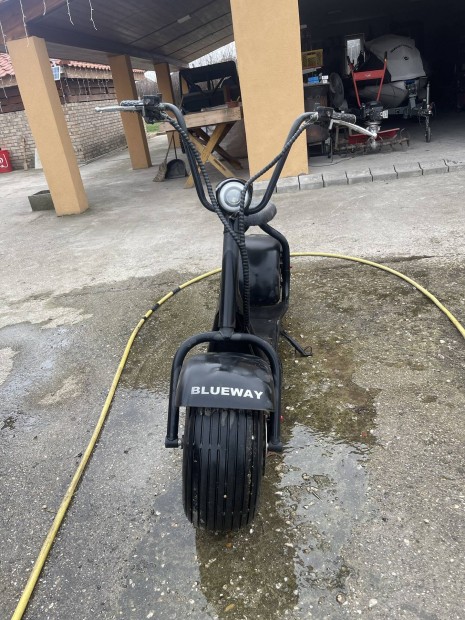 Blueway R10 chopper