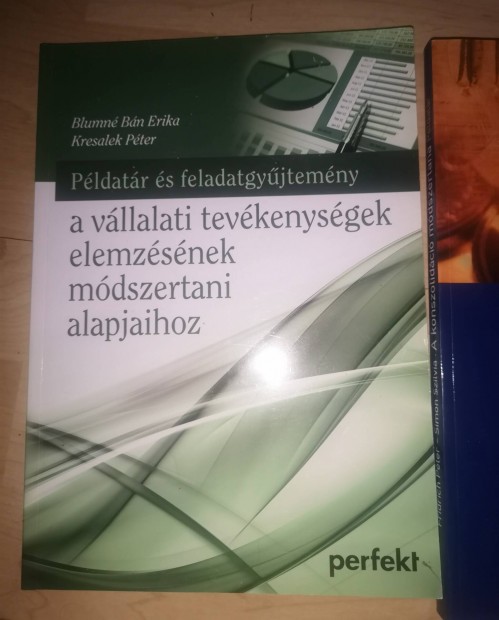 Blumn Kresalek vllalati tevkenysgek elemzsnek mdszertana