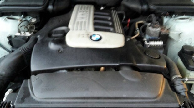 Bmw e39 525d 163le 256D1 motor