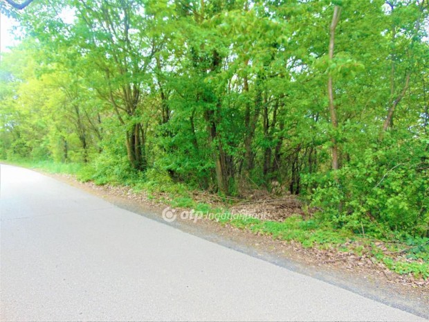 Bocf�ldei 5984 nm-es telek elad�