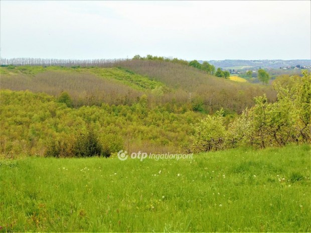 Bocf�ldei elad� 2182 nm-es telek