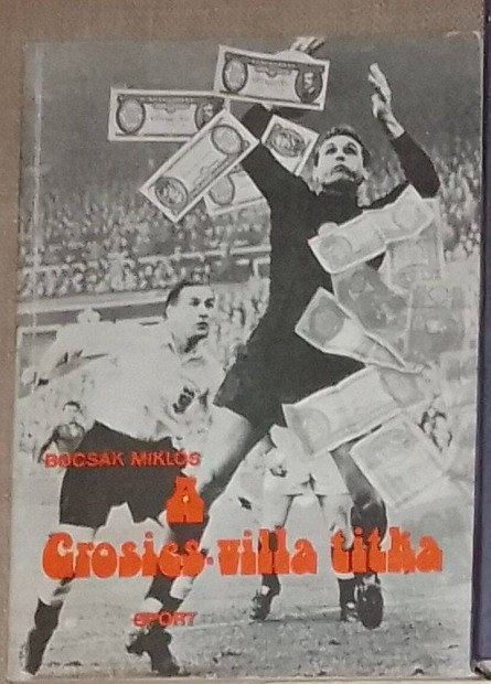 Bocsk Mikls - A Grosics-villa titka