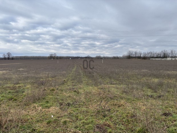 Bocskaikert-Hajd�hadh�z-354. sz. f��t tal�lkoz�s�ban elad� 9,7 ha kive