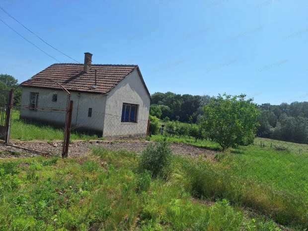 Bodrogolasziban elad�  ingatlan �ron alul!