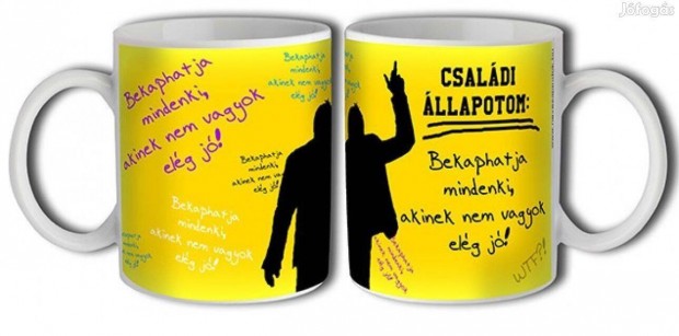 Bögre 3 dl - Családi állapotom