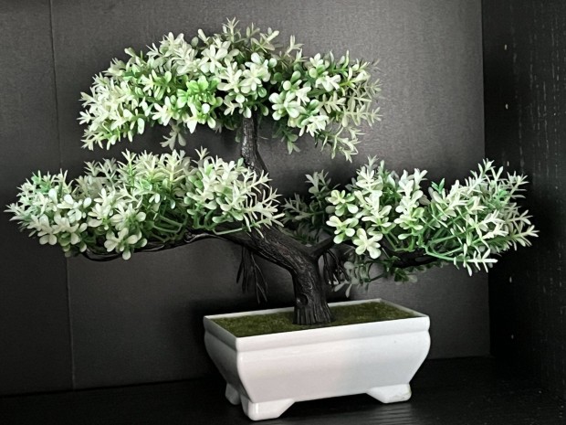 Bonsai dísznövény otthon dekor dekoráció fa fehér japán fa