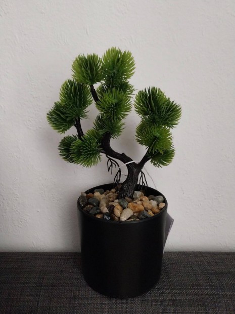 Bonsai gynyrszp mnvny