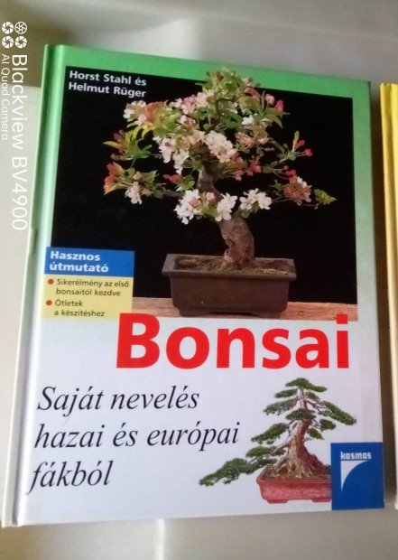 Bonsai knyv