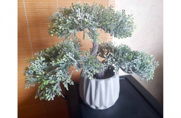 Bonsai mnvny mvirg