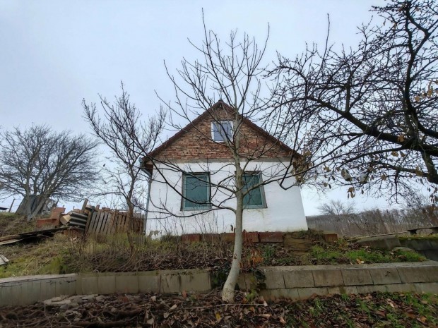 Bonyh�d, Cik�i �t Z�rtkerti ingatlan elad�