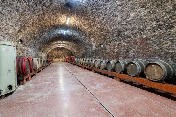 Bor�szat elad� - M�ri elad� �zleti c�l� ingatlan