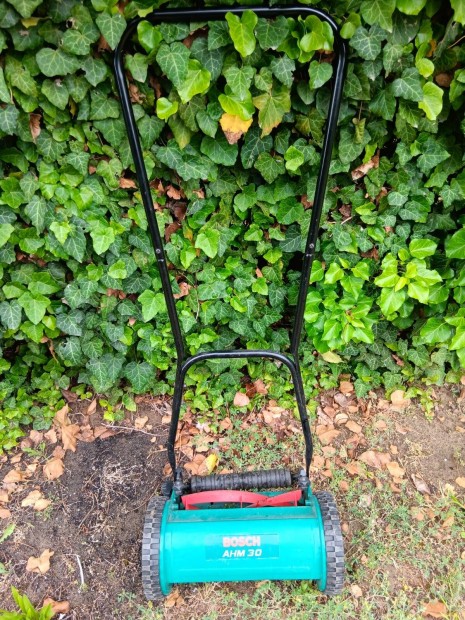 Bosch AHM 30-as fnyr 