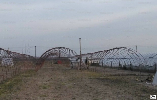 B�v�thet� telek elad�