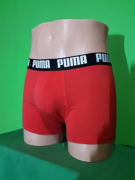 Boxerals  Puma