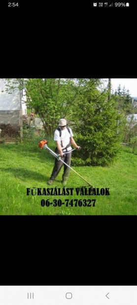Bozótírtás fűvágás Miskolcon és környékén
