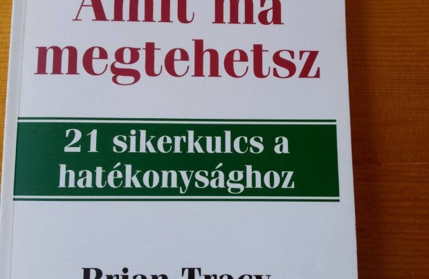 Brian Tracy Amit ma megtehetsz / könyv