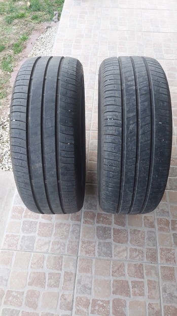 Bridgestone Ecopia ep150 205/55/R16 (2 db)