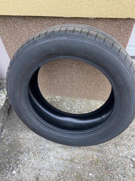 Bridgestone nyri gumi