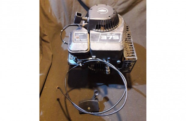 Briggs & Stratton 375 kaplgp komplett motor