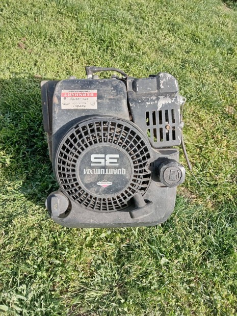 Briggs & Stratton Quantum motor