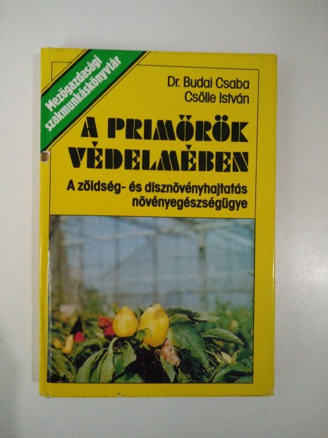 Budai Csaba - A primrk vdelmben