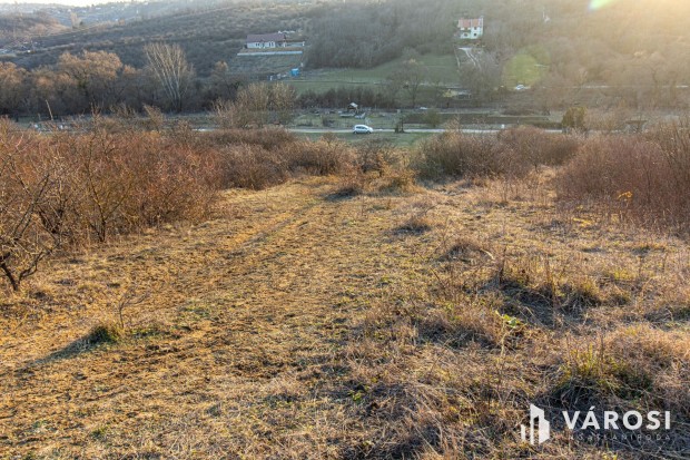 Budakalszon 2960 m2-es telek elad!