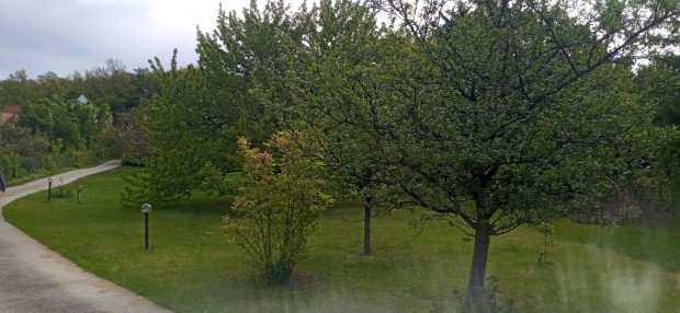 Budakeszi makkos, telek
