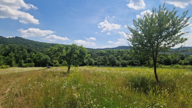 Budakeszi panorms klterlet elad