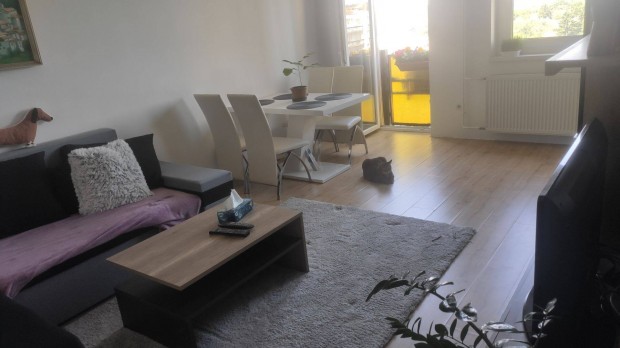 Budapest XXII Budafok. nappali+2hálós lakás