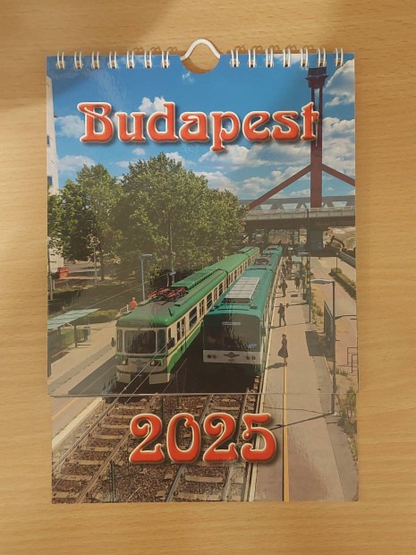 Budapest tmegkzlekedse naptr 2025, Ikarus Ganz 