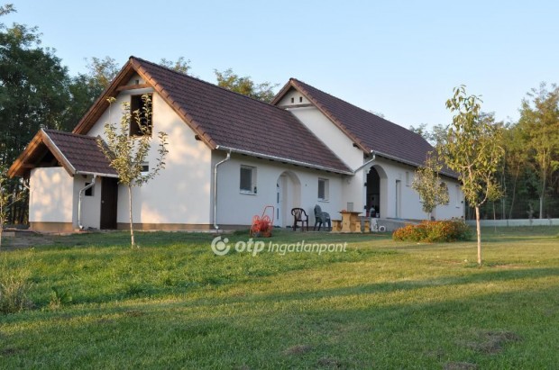 Bugyii elad� 230 nm-es h�z