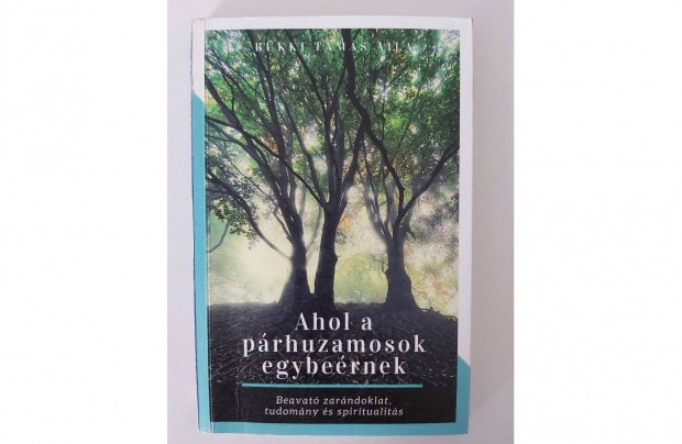 Bkki Tams Aila: Ahol a prhuzamosok egybernek