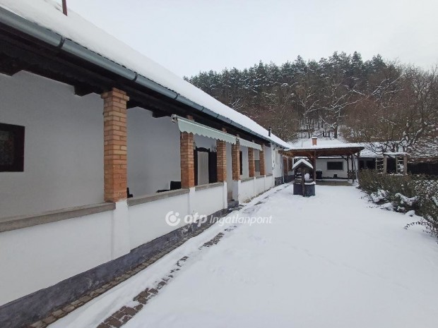 B�kksz�ki elad� 84 nm-es h�z