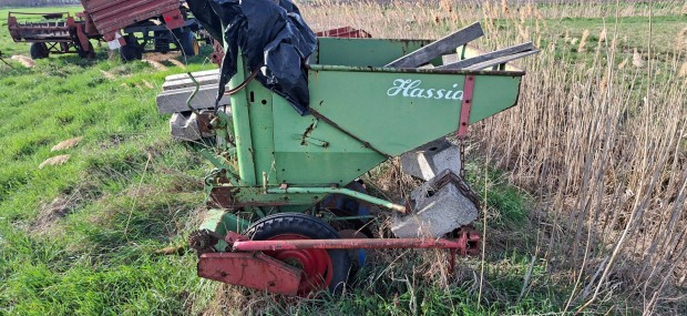 Burgonya �ltet�. Felszed�