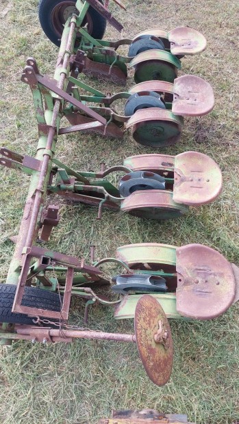 Burgonya ltet palntz elad