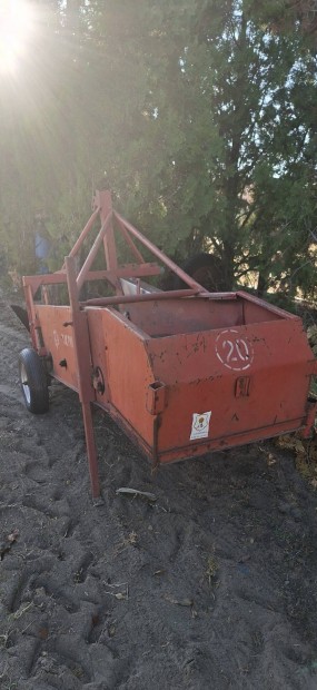 Burgonyarz, burgonyaszed 