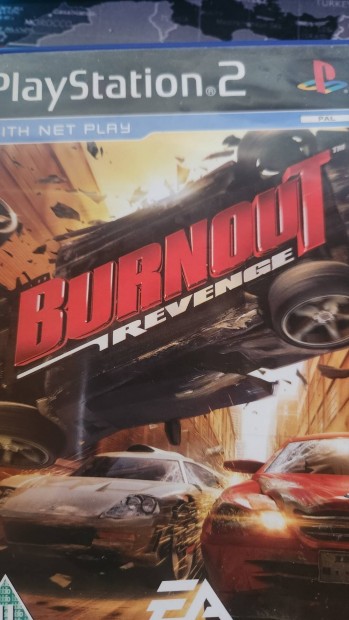 Burnout revenge 