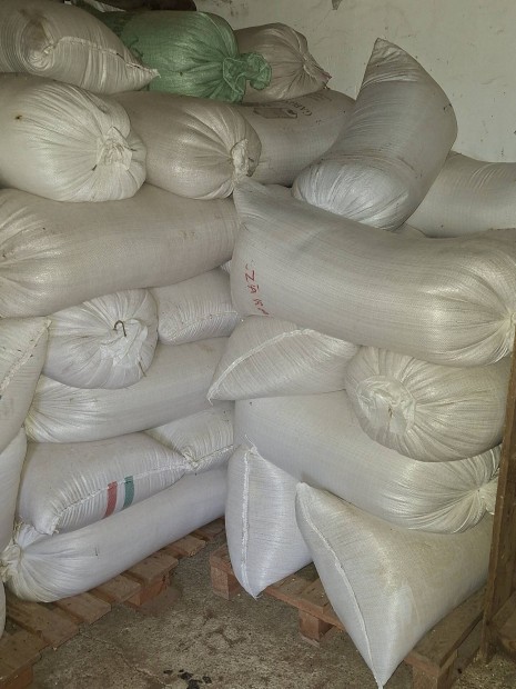 B�za bezs�kolva elad�.