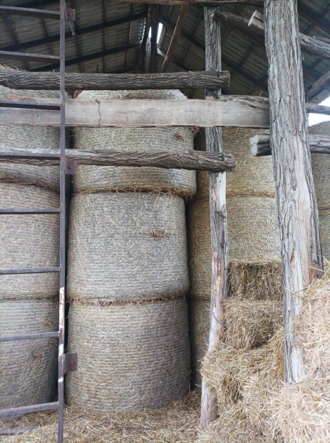 B�zaszalma elad�