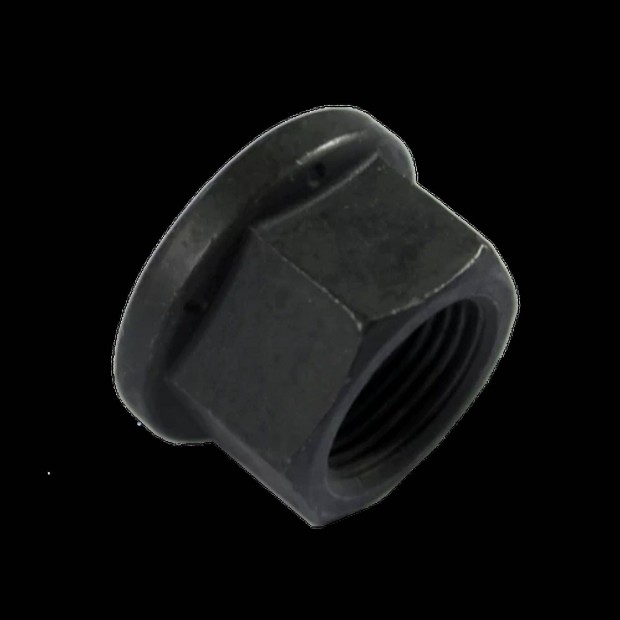 CAT Felni Anya 2011919