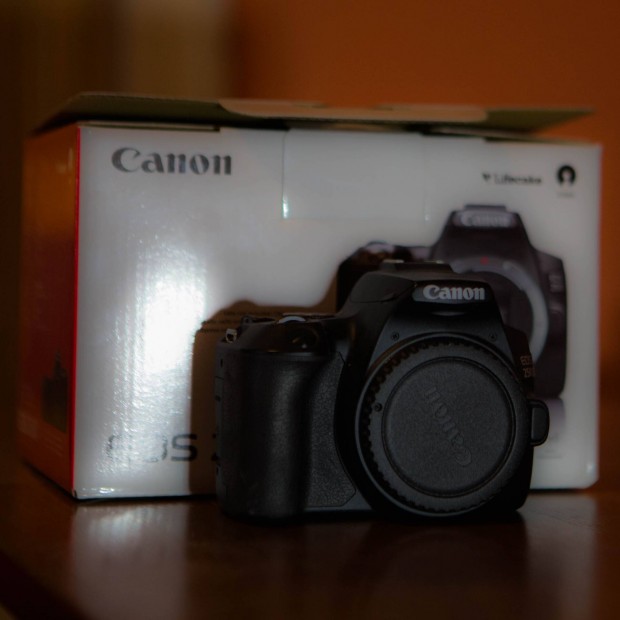 Canon 250D fnykpezgp 24,1 Megapixel CMOS