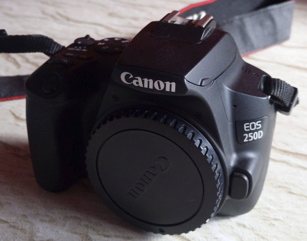 Canon 250D vz