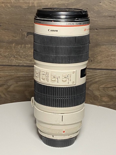 Canon EF 70-200mm F/2.8 L Is USM II