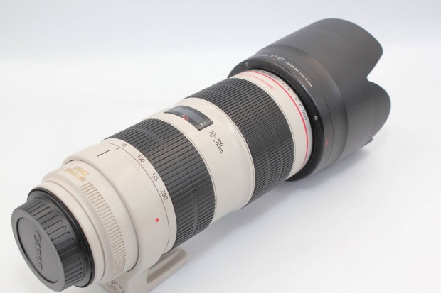 Canon EF 70-200mm f/2.8L USM Lens