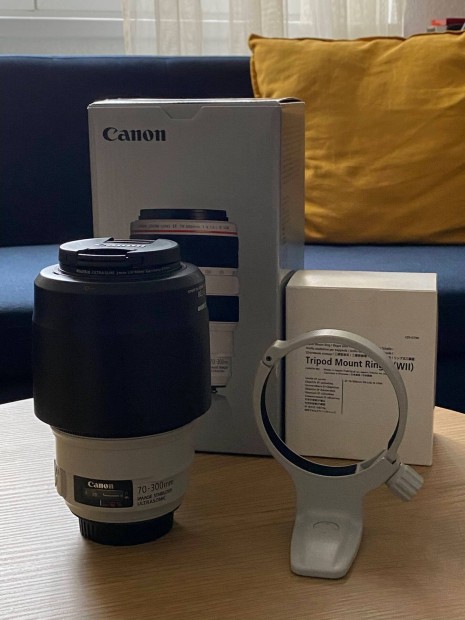 Canon EF 70-300mm f/4-5.6L Is USM